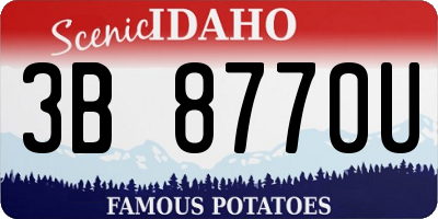 ID license plate 3B8770U