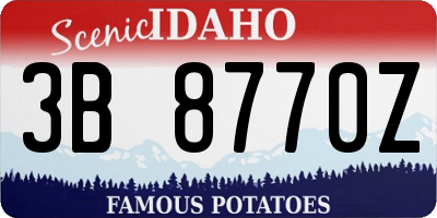 ID license plate 3B8770Z