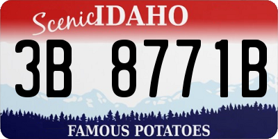 ID license plate 3B8771B