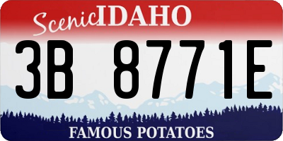 ID license plate 3B8771E