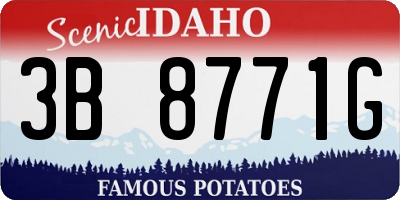 ID license plate 3B8771G