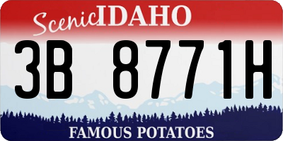 ID license plate 3B8771H