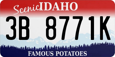 ID license plate 3B8771K