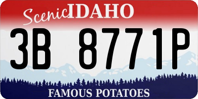 ID license plate 3B8771P