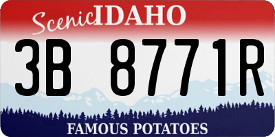 ID license plate 3B8771R