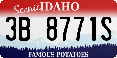 ID license plate 3B8771S