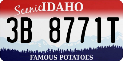 ID license plate 3B8771T