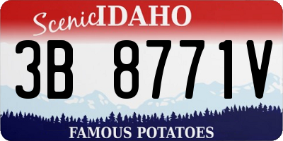 ID license plate 3B8771V