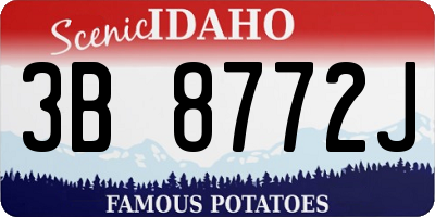 ID license plate 3B8772J