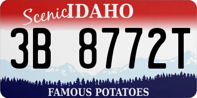 ID license plate 3B8772T