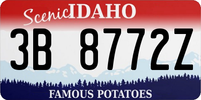 ID license plate 3B8772Z