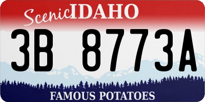 ID license plate 3B8773A