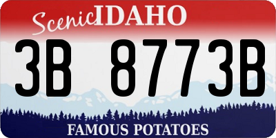 ID license plate 3B8773B