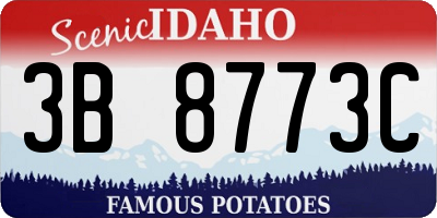 ID license plate 3B8773C