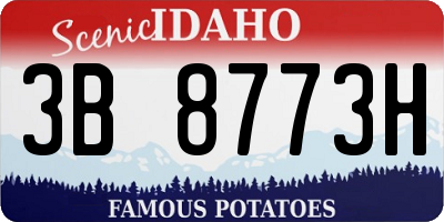 ID license plate 3B8773H