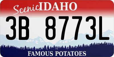 ID license plate 3B8773L