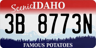 ID license plate 3B8773N