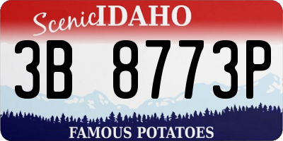 ID license plate 3B8773P