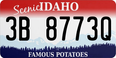 ID license plate 3B8773Q