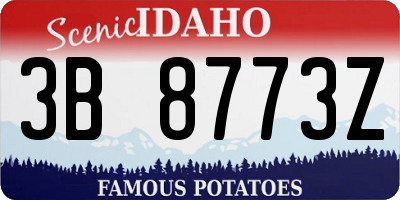 ID license plate 3B8773Z