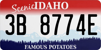 ID license plate 3B8774E