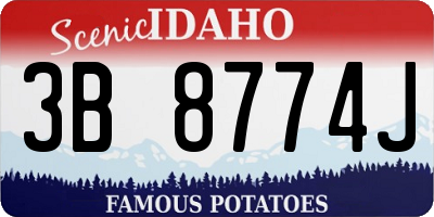 ID license plate 3B8774J