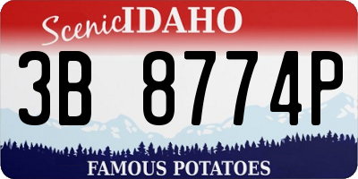 ID license plate 3B8774P