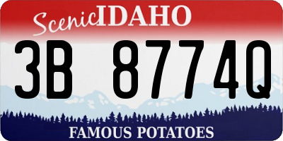 ID license plate 3B8774Q