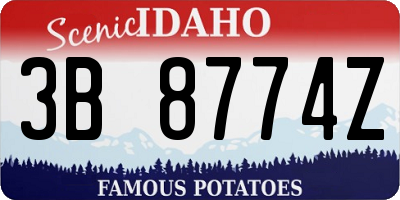 ID license plate 3B8774Z