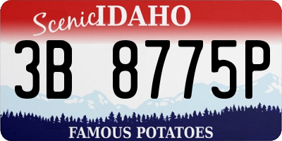 ID license plate 3B8775P