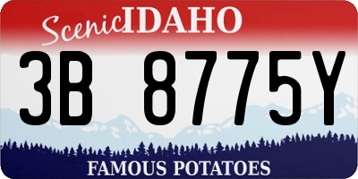 ID license plate 3B8775Y