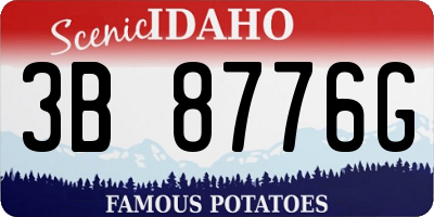 ID license plate 3B8776G