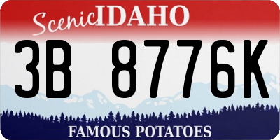 ID license plate 3B8776K