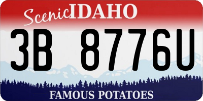 ID license plate 3B8776U