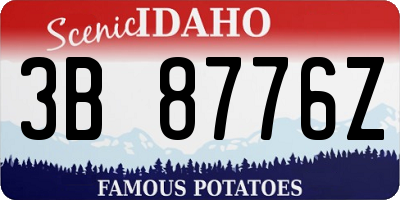ID license plate 3B8776Z
