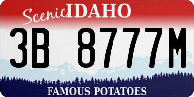 ID license plate 3B8777M