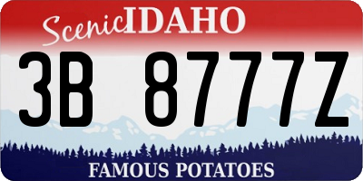 ID license plate 3B8777Z