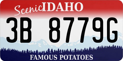 ID license plate 3B8779G