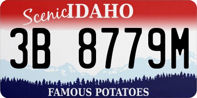 ID license plate 3B8779M
