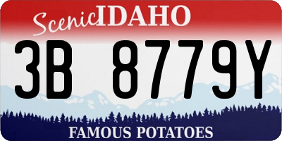 ID license plate 3B8779Y