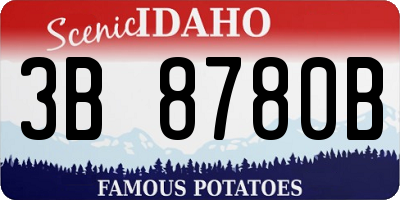 ID license plate 3B8780B