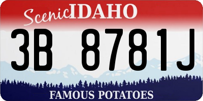 ID license plate 3B8781J