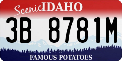 ID license plate 3B8781M