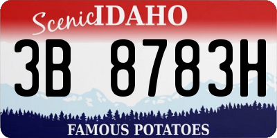 ID license plate 3B8783H