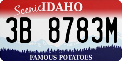 ID license plate 3B8783M