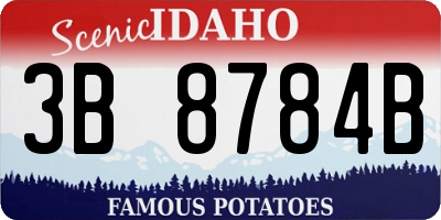 ID license plate 3B8784B