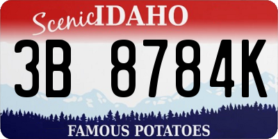 ID license plate 3B8784K