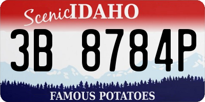ID license plate 3B8784P