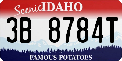 ID license plate 3B8784T