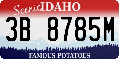 ID license plate 3B8785M